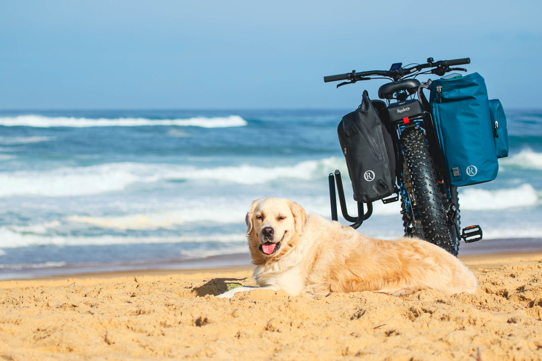 Sac à dos sacoche vélo